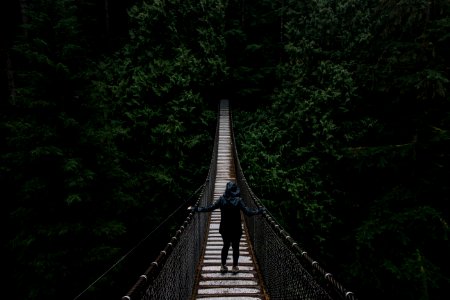 person in black hoodie on wooden bridge surrounded by green leafed trees