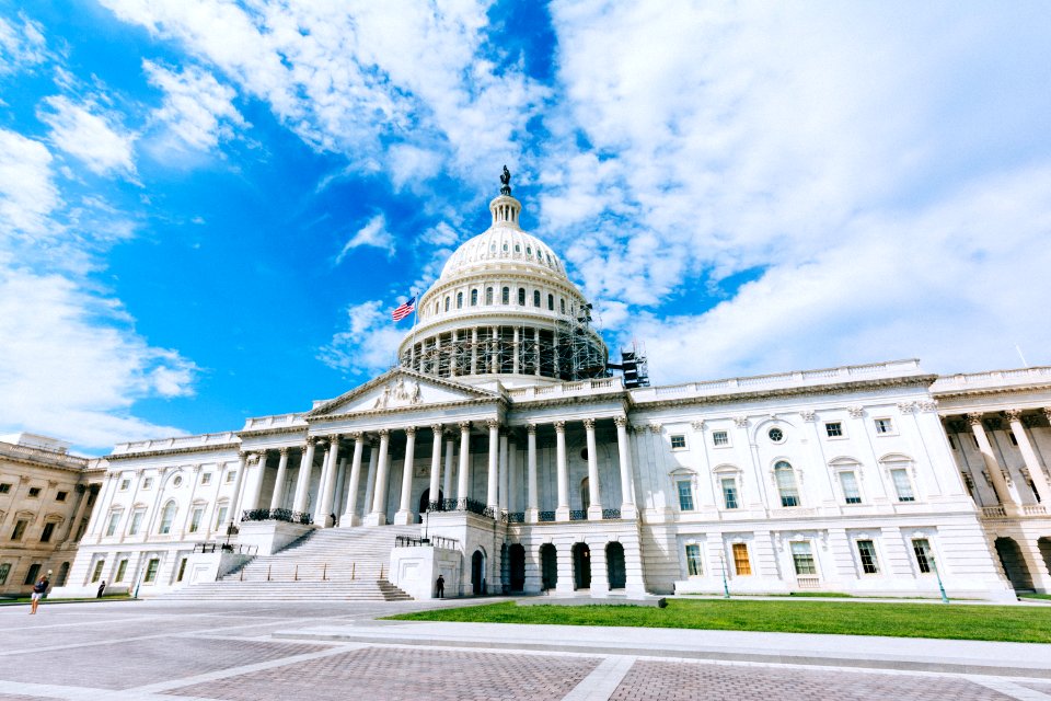 Constitution, Laws, Congress