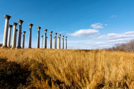 National capitol columns, Washington, United states
