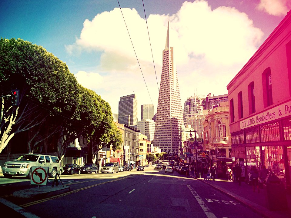 308 columbus ave, San francisco, Ca 94133
