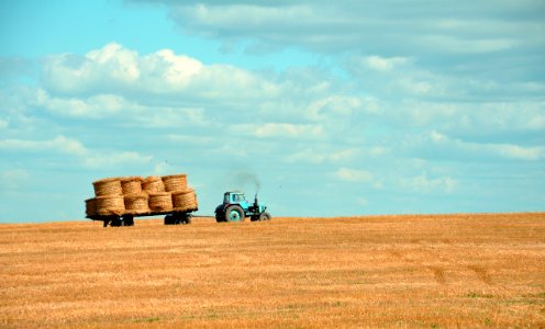 brown hay on tractor under white and blue sky during daytime photo