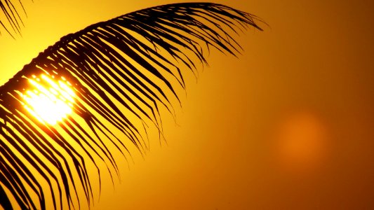 Balasore, India, Nature