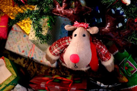 Gifts, Tree, Reindeer photo