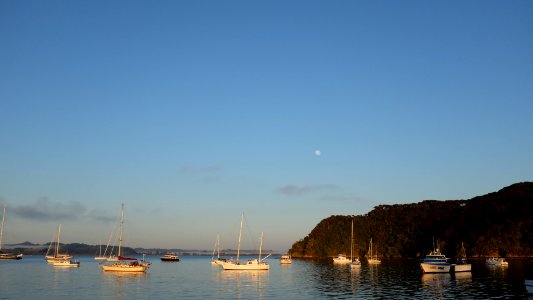 Russell, New zeal, Sailboat