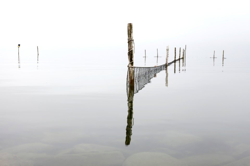 landscape photo of water wood fence