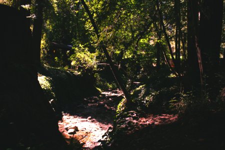 Mill valley, United states