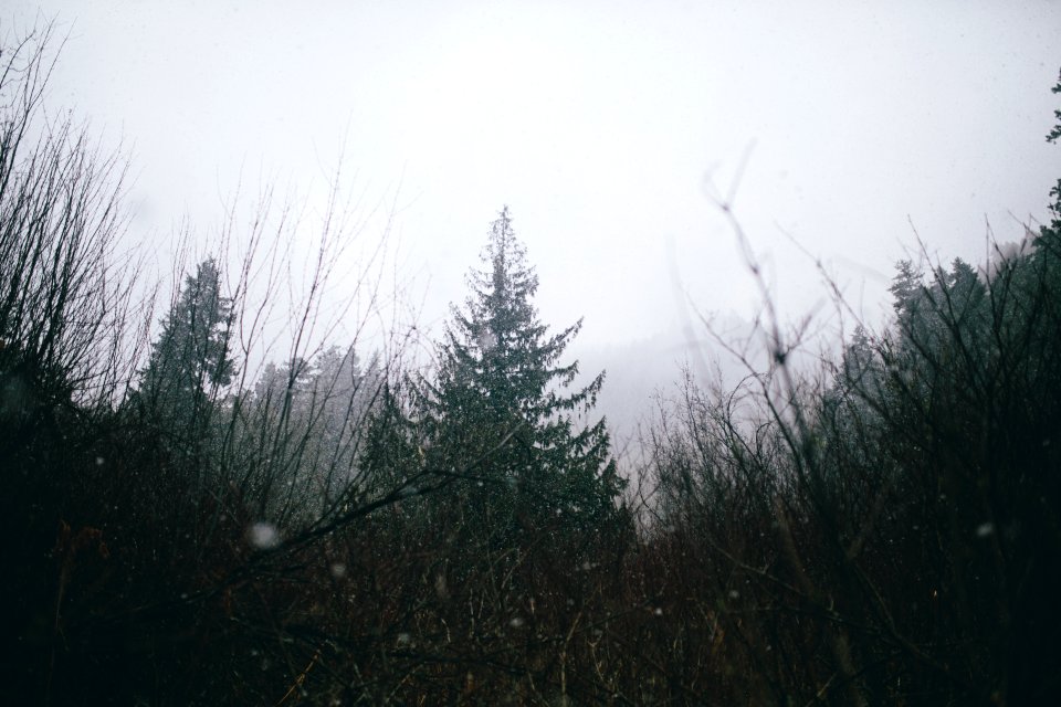 Whistler, British columbia, Canada