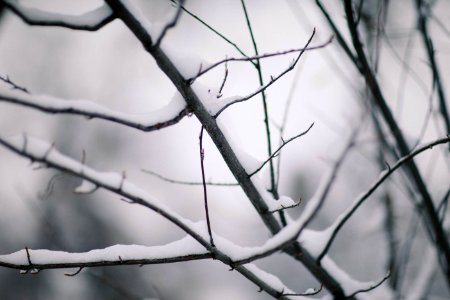 Billings, United states, Christmas
