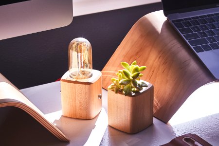 Desk lamp, Condo, Planter photo