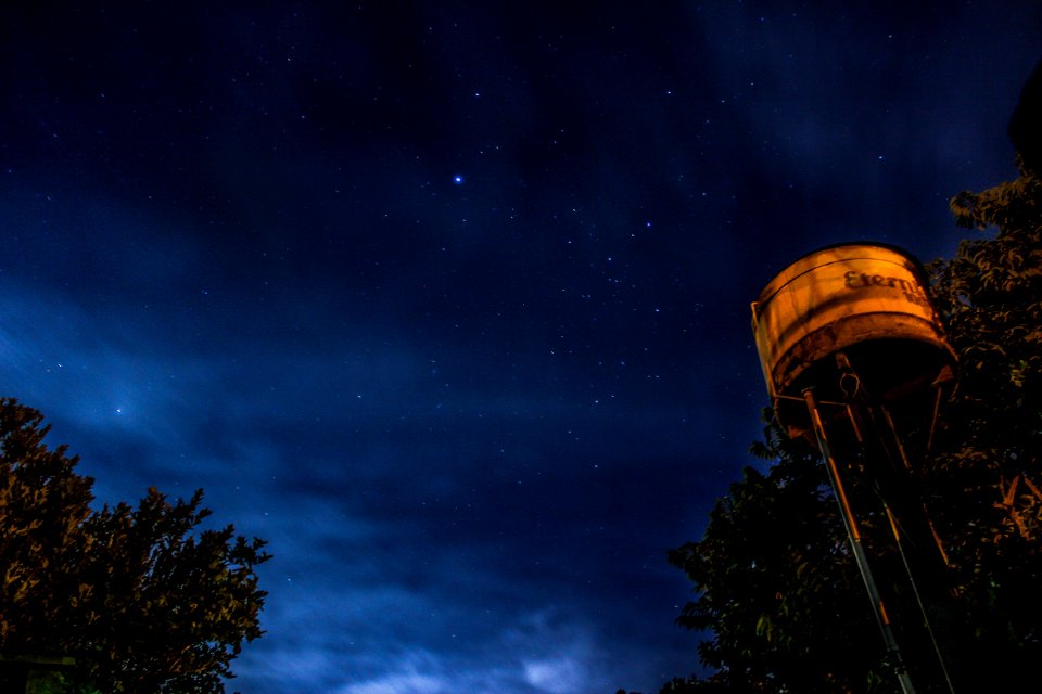 worm's-eye view photography of white steel tank beside green tree under starry sky