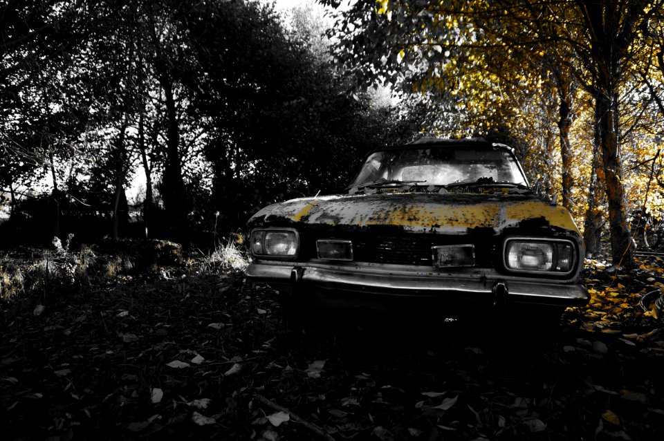 Rusty relic, Rusty car, Forest