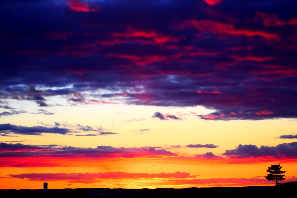 99163, Pullman, United states