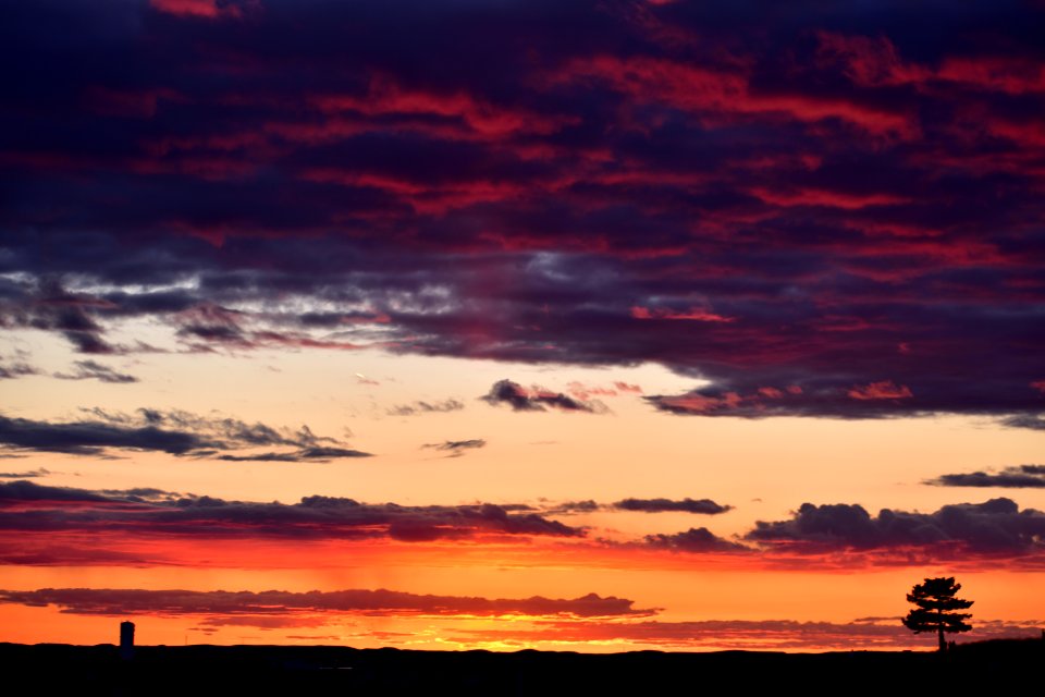 Pullman, United states, Colorful