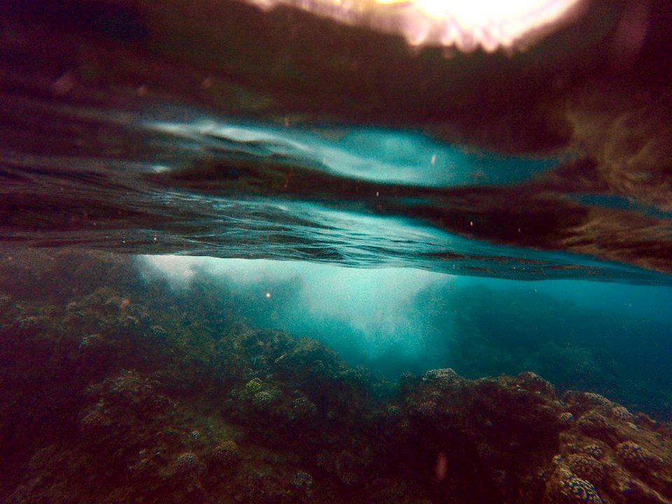 Kaanapali, United states, Snorkeling