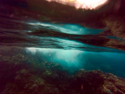 Kaanapali, United states, Snorkeling