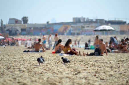 Israel, Tel avivjaffa, Chill