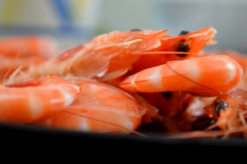 Scampi, Frutti di mare, Fish