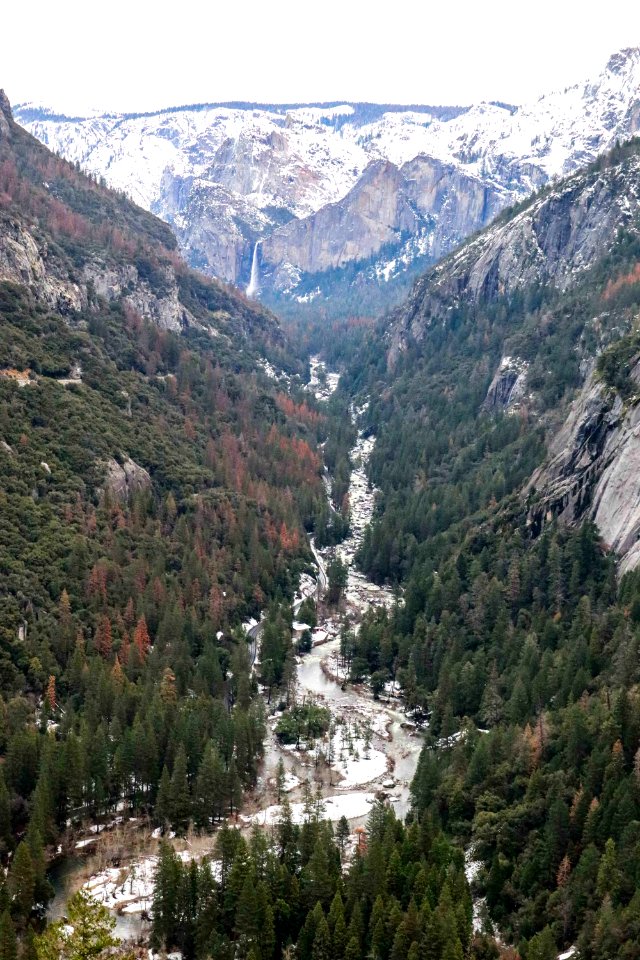 Yosemite national park, United states, Winter