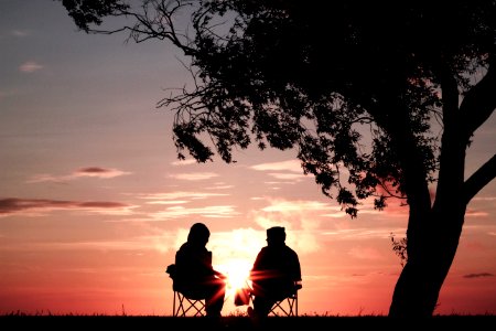 silhouette of two person sitting on chair near tree photo