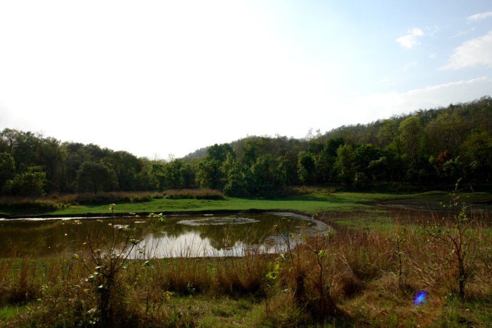 Pench jungle camp, Turiya, India