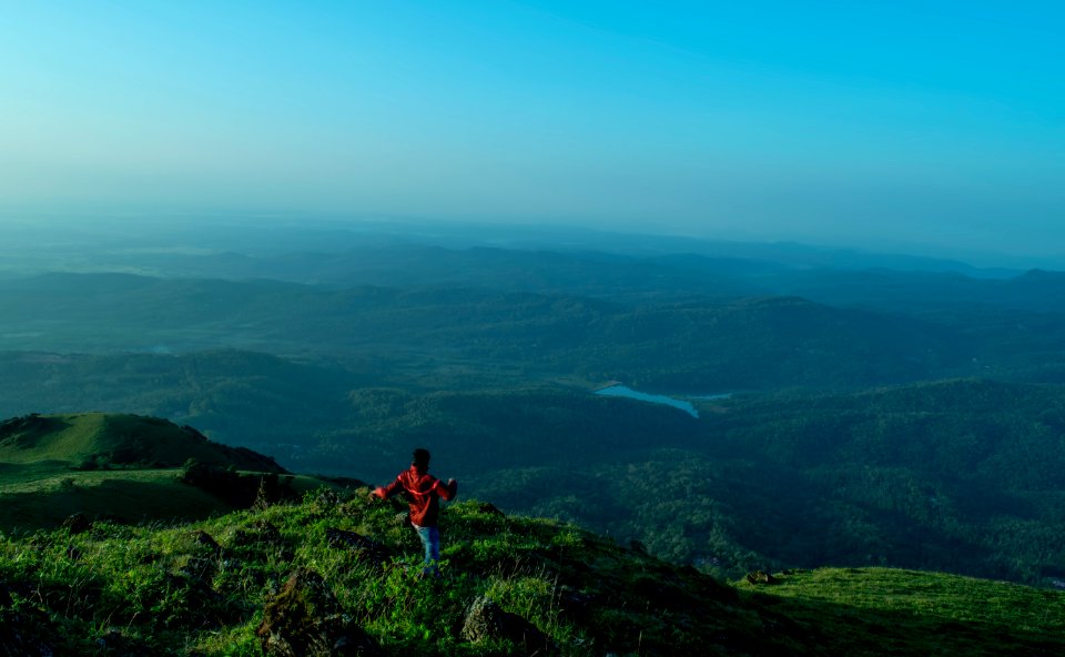 India, Chickmagaluru, Forest