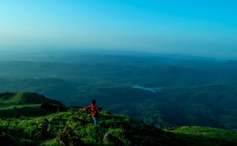India, Chickmagaluru, Forest