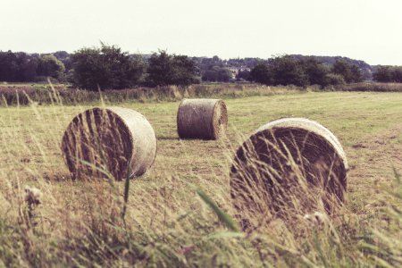 three hay stacks on field photo