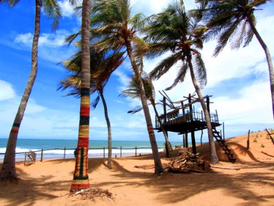 Sri lanka, Treehouse, Waves