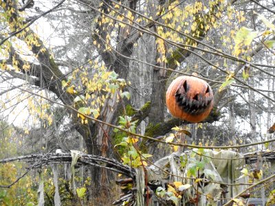 Halloween, Scarecrow, Scary photo
