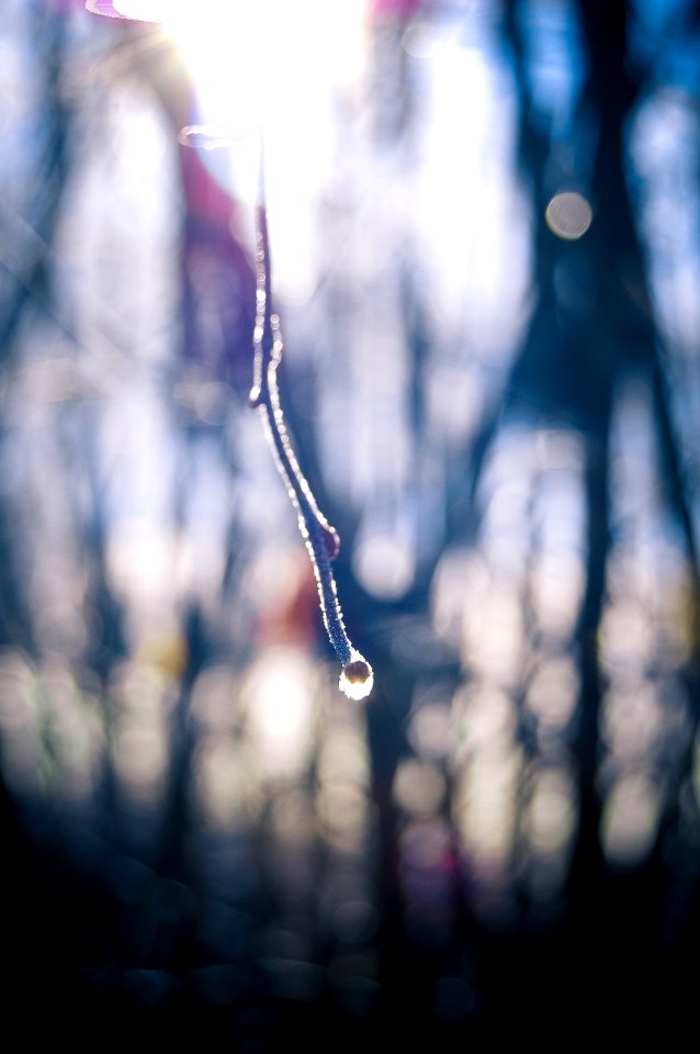 Frost, Cold, Light