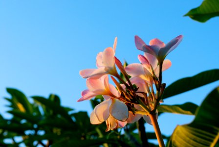 Providenciales, Turks, Caicos isl