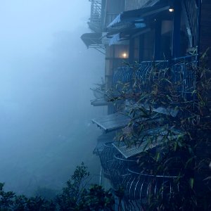 Fog