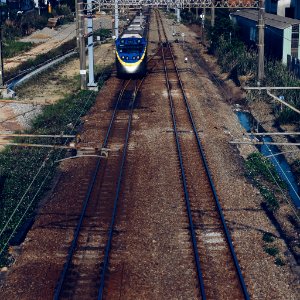 Train