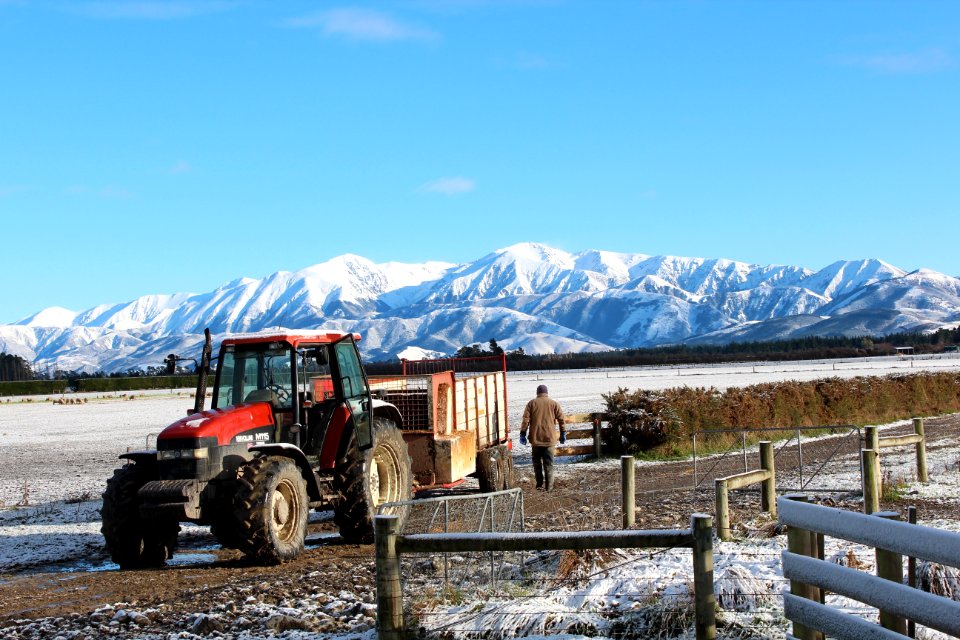 Farmer, Tractor, Winter