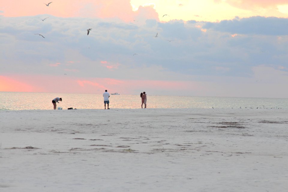 Siesta key, Florida, Fishing