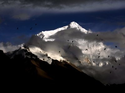 photo of birds flying near snow mountain photo