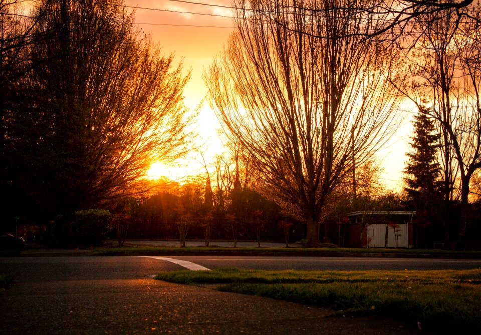 Portl, United states, Street view