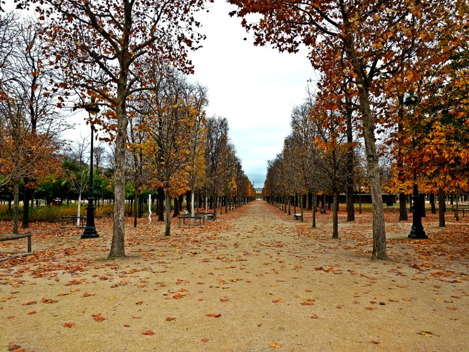 Paris, France, Louvre museum photo