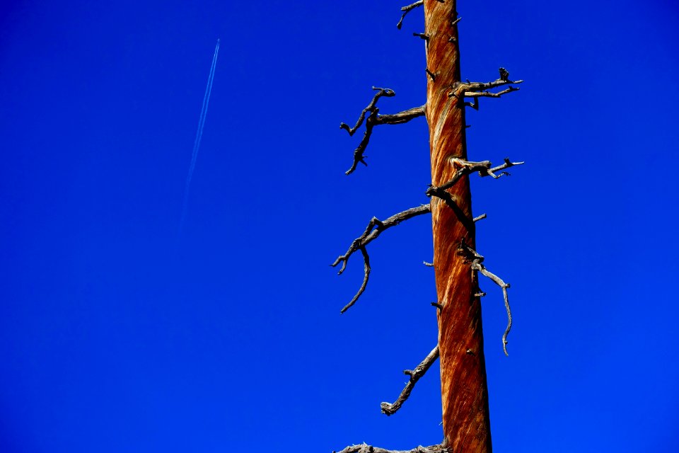 Bryce canyon, United states, findyourpark photo