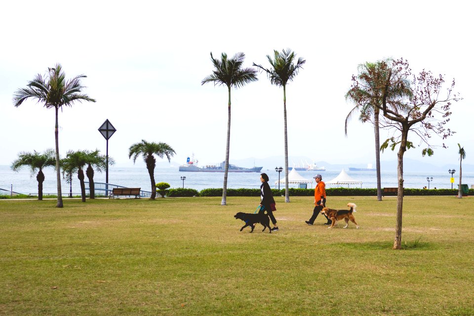 Waterfront park cyberport, Hong kong, Park