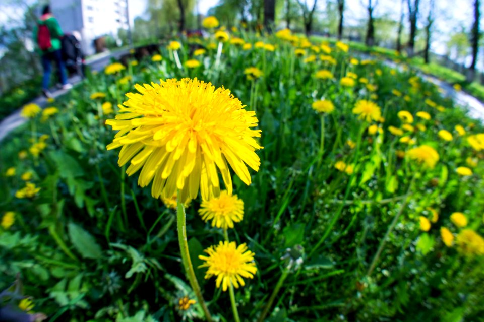 Lviv, Ukraine, Spring