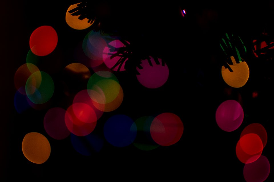 Holiday, Lights, Tree