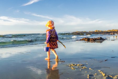 Asilomar avenue, Pacific grove, United states