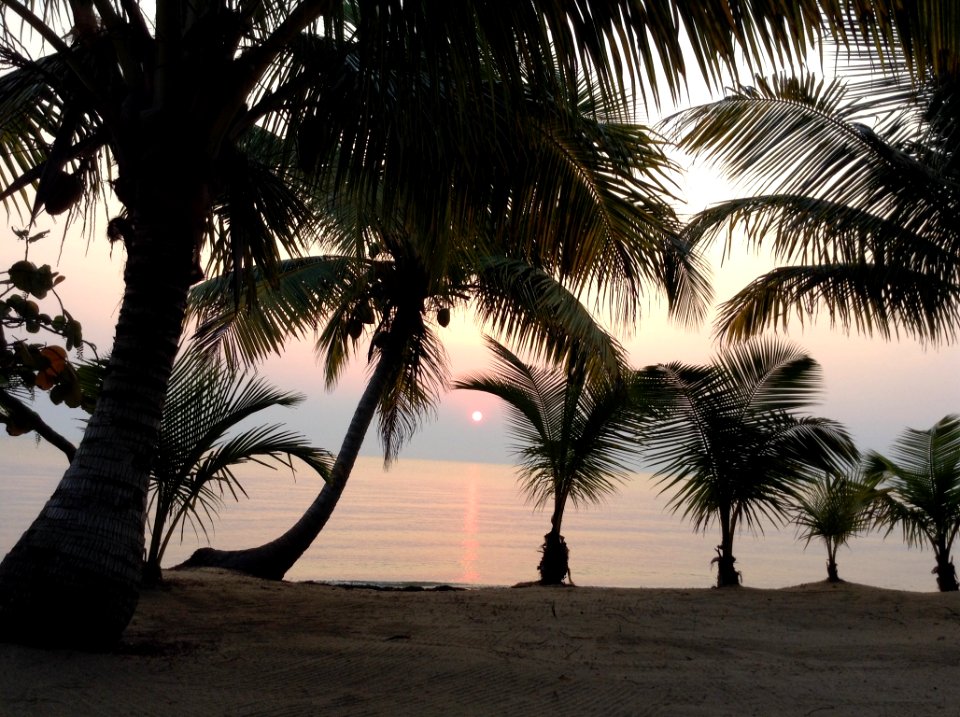 Belize, Palmtrees, Sunrise
