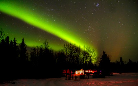 Fairbanks, United states, Alaska photo