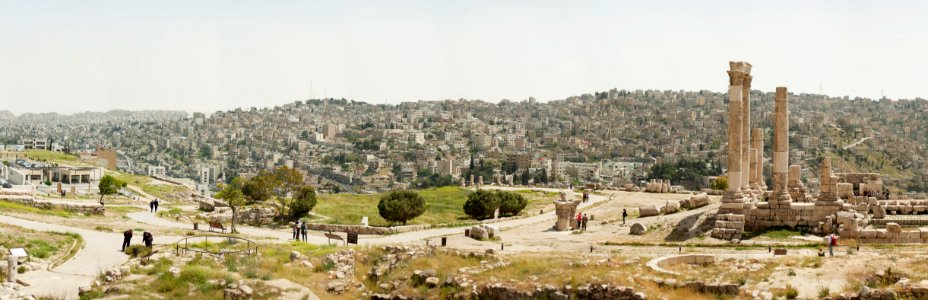 Amman, Jordan, Trees
