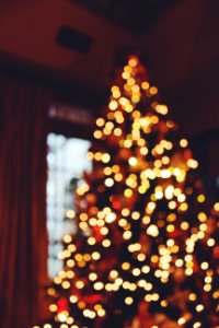 Christmas tree, Christmas, Blurred