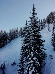 Ski, Snowfall, Mountains