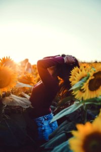 woman standing surrounded by sunflower photo