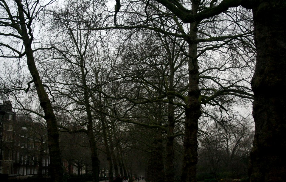London, United kingdom